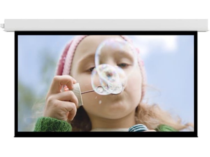 Da-Lite Advantage Series projection screen