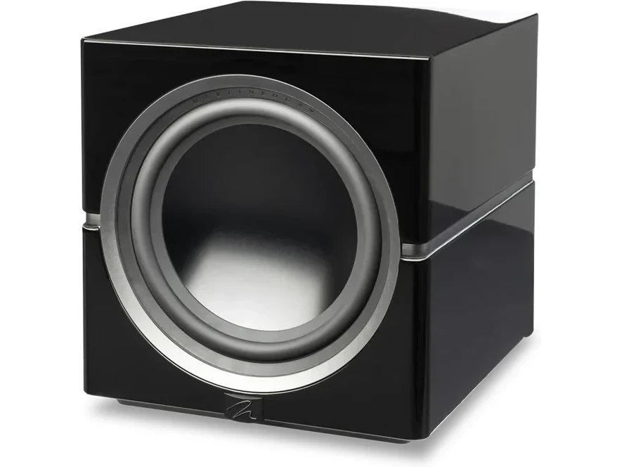 Dynamo 10 - front (woofer)
